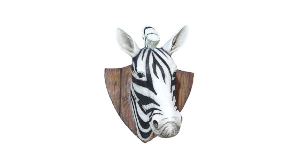 Zebra Trophy head